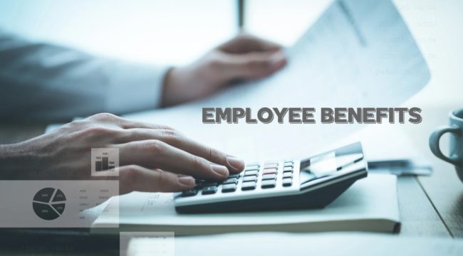 How Much Will You Receive in the ESA Support Group in 2025